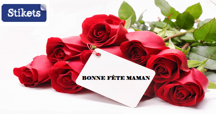 Meilleurs messages pour dire : “ Maman, je t'aime ” – Stikets Company